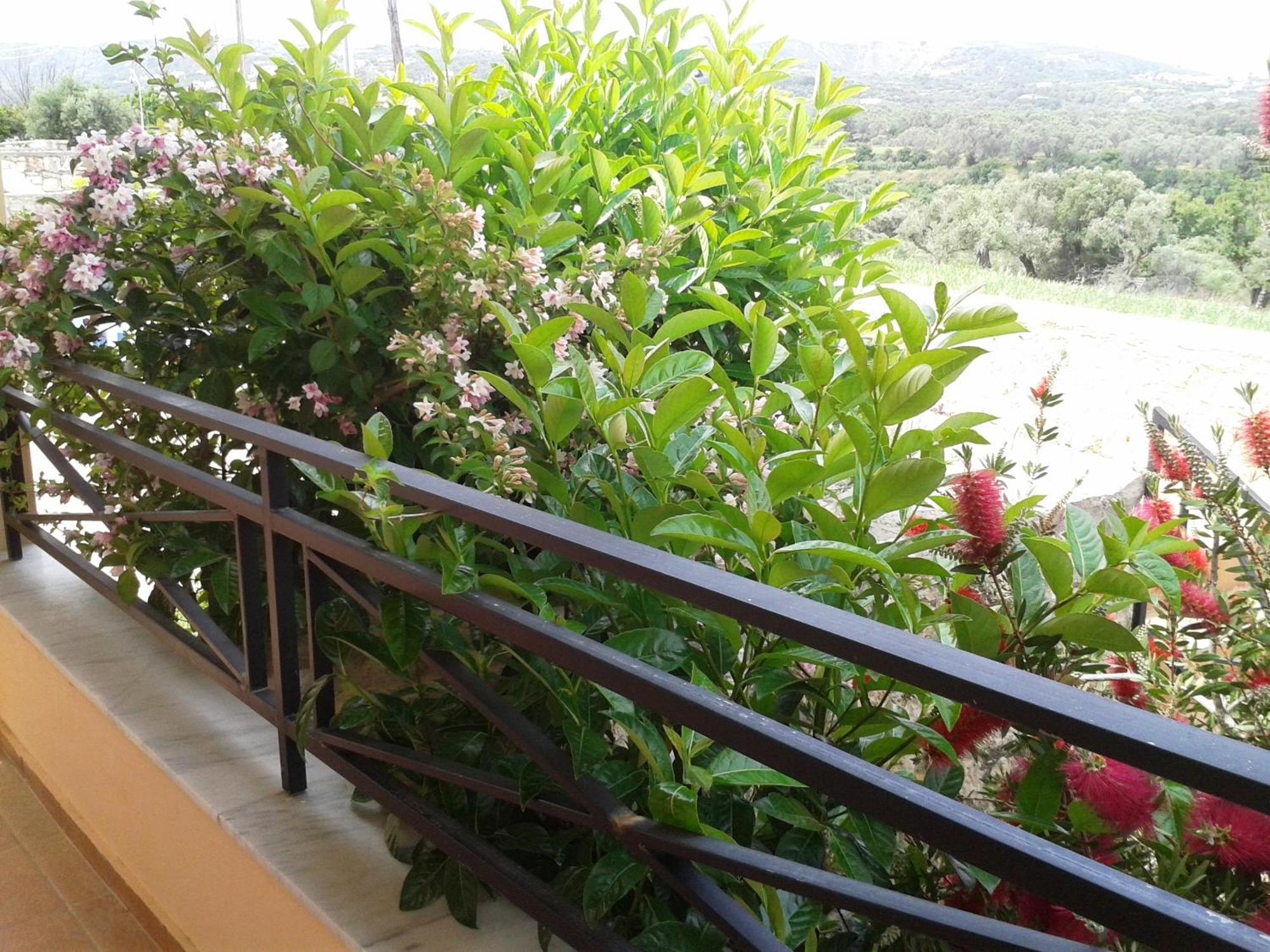 Helidonia Villas Pigí Quarto foto